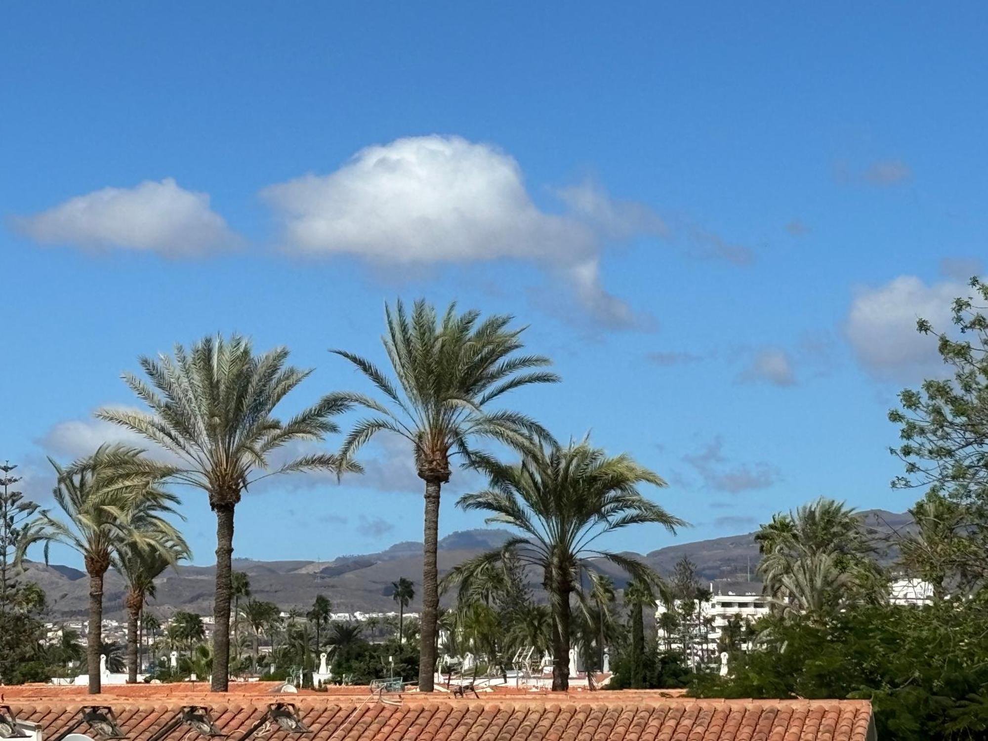 Loris Home Playa Ingles 50Mt From Yumbo By Luca Properties Gran Canaria San Bartolomé Eksteriør billede